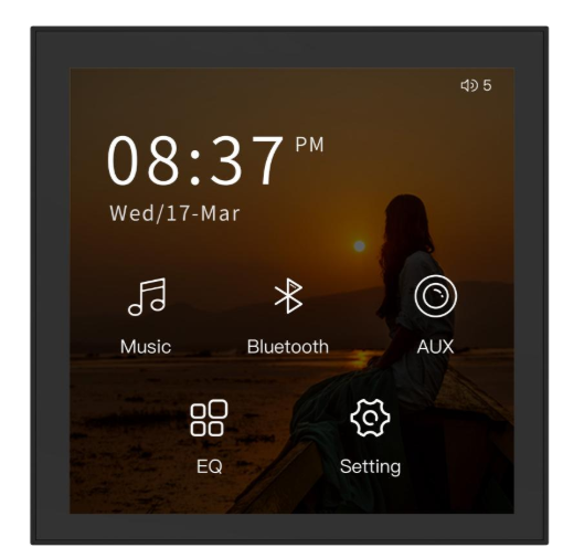 Аудиоусилитель Hikvision DS-QAE0A40G1W-RB