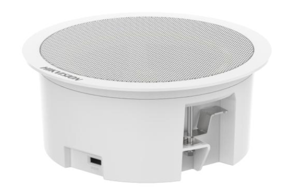 Потолочный громкоговоритель Hikvision DS-QAZ1206G1-BE